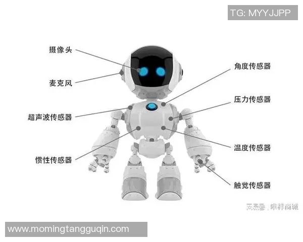 足球明星与机器人技术的完美结合引领未来体育新潮流