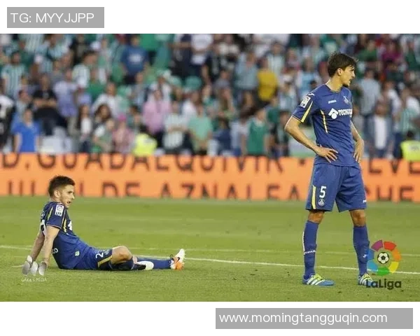 北京足球队的拼搏之路:从低谷到巅峰的奋斗历程与荣耀回顾